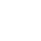 icon bolt